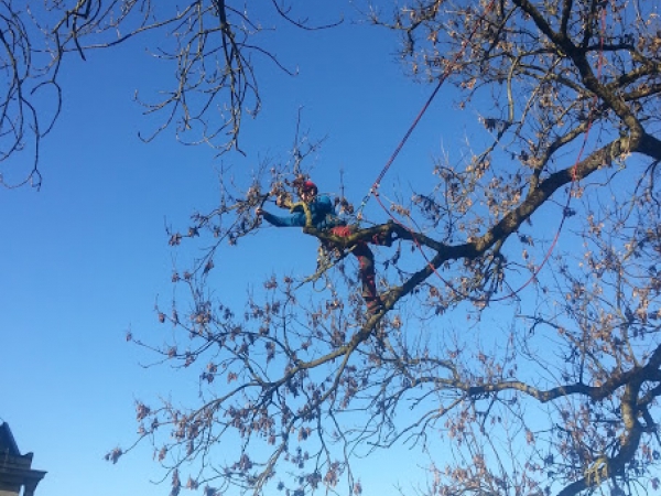 20140224_0903521.jpg